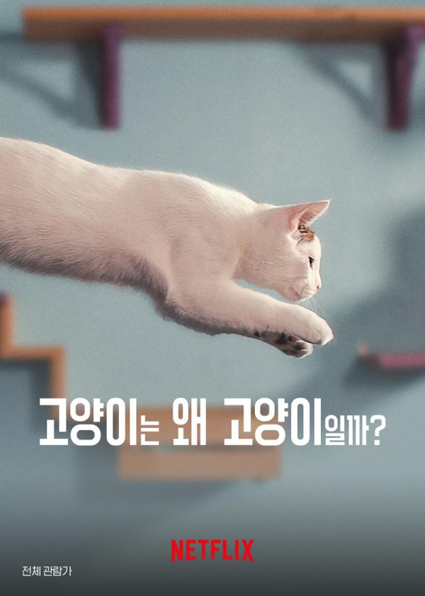 1750982080017.jpg