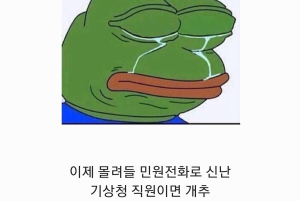 17514435021338.jpeg