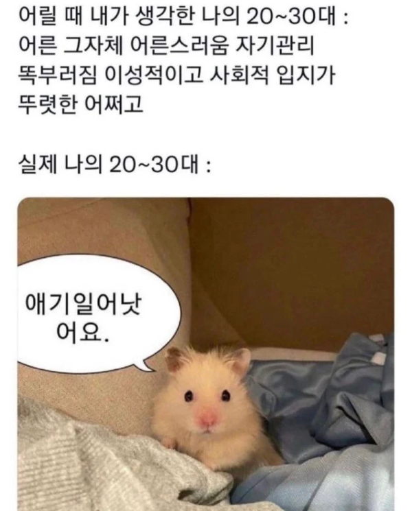 17514439463038.png